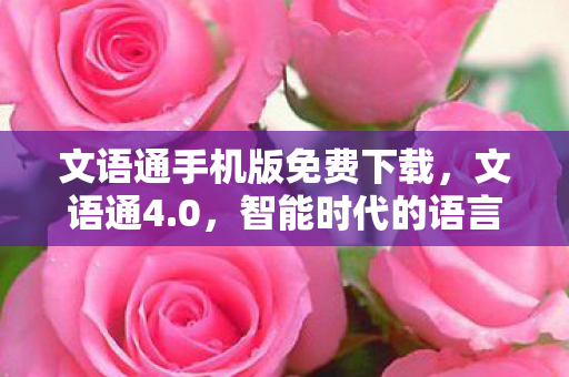文语通手机版免费下载，文语通4.0，智能时代的语言桥梁