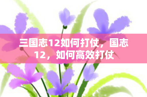 三国志12如何打仗，国志12，如何高效打仗