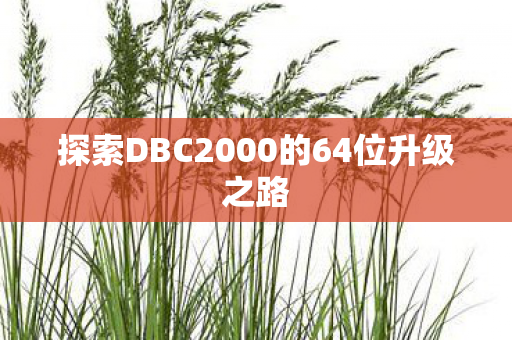 探索DBC2000的64位升级之路