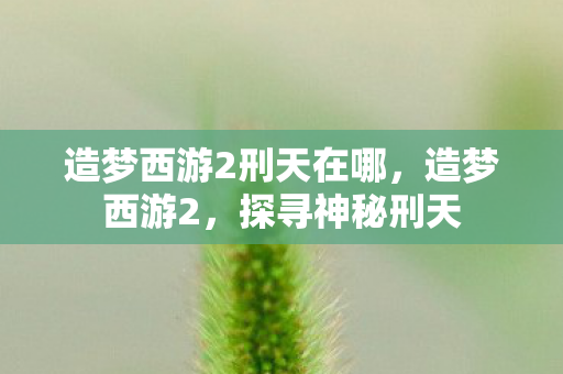 造梦西游2刑天在哪，造梦西游2，探寻神秘刑天