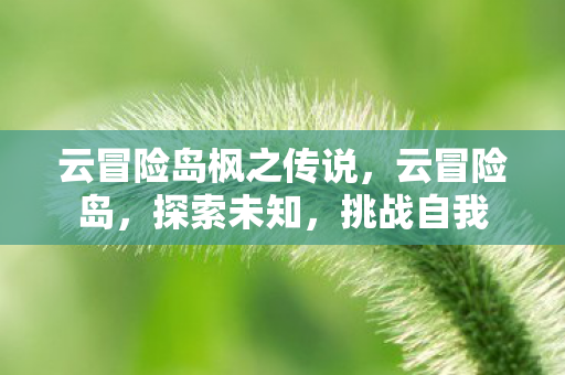 云冒险岛枫之传说，云冒险岛，探索未知，挑战自我