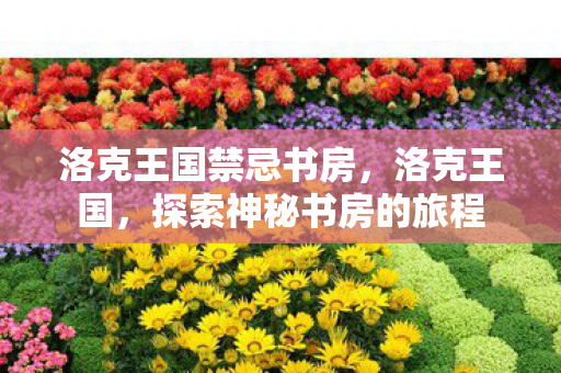 洛克王国禁忌书房，洛克王国，探索神秘书房的旅程