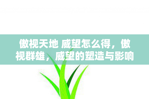 傲视天地 威望怎么得，傲视群雄，威望的塑造与影响