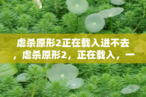 虐杀原形2正在载入进不去，虐杀原形2，正在载入，一场虚拟世界的冒险