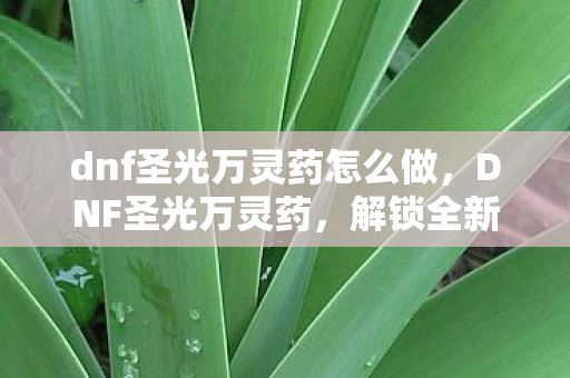 dnf圣光万灵药怎么做,DNF圣光万灵药,解锁全新战斗体验 dnf圣光万灵药怎么做,DNF圣光万灵药,解锁全新战斗体验