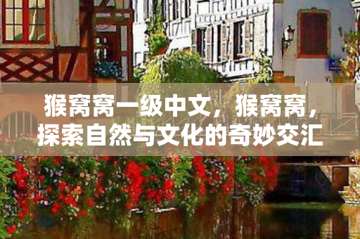 猴窝窝一级中文,猴窝窝,探索自然与文化的奇妙交汇 猴窝窝一级中文,猴窝窝,探索自然与文化的奇妙交汇