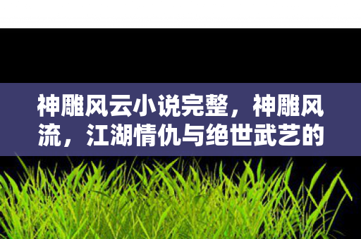 神雕风云小说完整，神雕风流，江湖情仇与绝世武艺的交织画卷