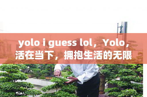 yolo i guess lol,Yolo,活在当下,拥抱生活的无限可能 yolo i guess lol,Yolo,活在当下,拥抱生活的无限可能