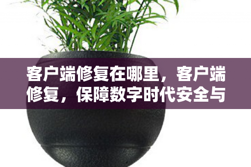 客户端修复在哪里,客户端修复,保障数字时代安全与稳定的秘密武器 客户端修复在哪里,客户端修复,保障数字时代安全与稳定的秘密武器
