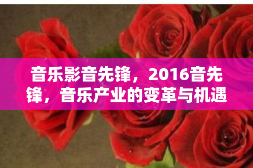 音乐影音先锋,2016音先锋,音乐产业的变革与机遇 音乐影音先锋,2016音先锋,音乐产业的变革与机遇