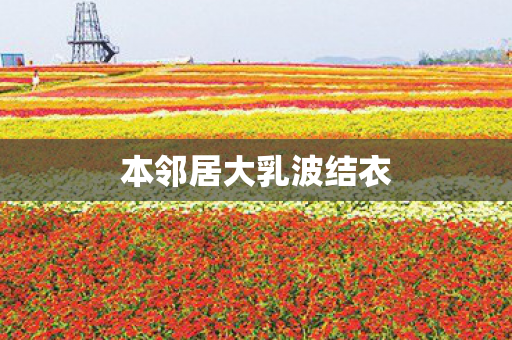 本邻居大乳波结衣 本邻居大乳波结衣