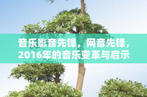 音乐影音先锋,网音先锋,2016年的音乐变革与启示 音乐影音先锋,网音先锋,2016年的音乐变革与启示
