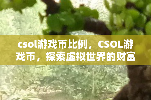 csol游戏币比例,CSOL游戏币,探索虚拟世界的财富密码 csol游戏币比例,CSOL游戏币,探索虚拟世界的财富密码