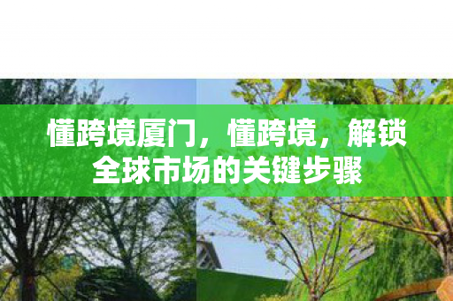 懂跨境厦门，懂跨境，解锁全球市场的关键步骤