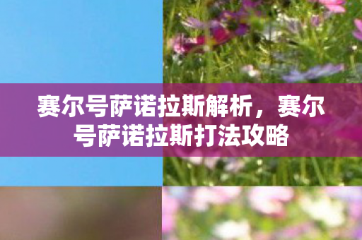 赛尔号萨诺拉斯解析，赛尔号萨诺拉斯打法攻略
