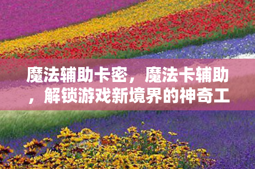 魔法辅助卡密，魔法卡辅助，解锁游戏新境界的神奇工具