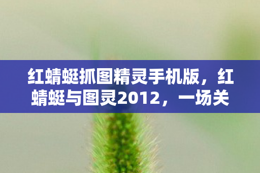 红蜻蜓抓图精灵手机版，红蜻蜓与图灵2012，一场关于创新与传承的较量
