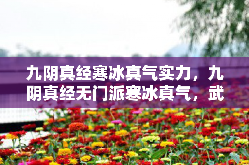 九阴真经寒冰真气实力,九阴真经无门派寒冰真气,武侠迷的终极幻想 九阴真经寒冰真气实力,九阴真经无门派寒冰真气,武侠迷的终极幻想