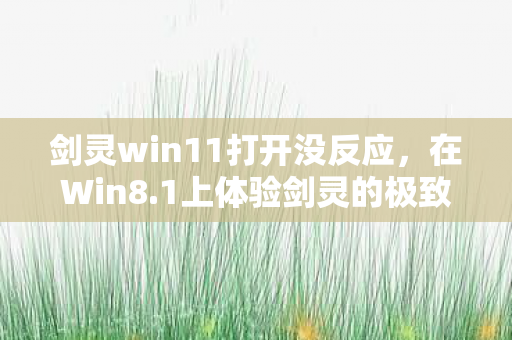 剑灵win11打开没反应,在Win8.1上体验剑灵的极致画质与流畅操作 剑灵win11打开没反应,在Win8.1上体验剑灵的极致画质与流畅操作
