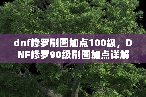 dnf修罗刷图加点100级，DNF修罗90级刷图加点详解