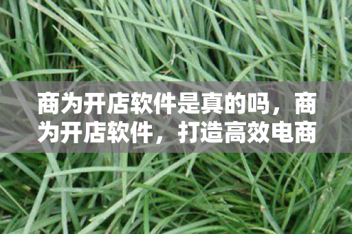商为开店软件是真的吗，商为开店软件，打造高效电商平台的利器