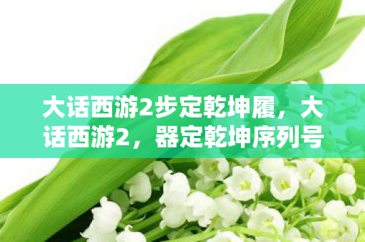 大话西游2步定乾坤履，大话西游2，器定乾坤序列号揭秘