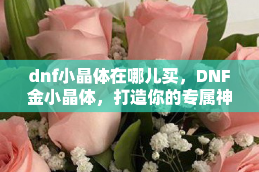 dnf小晶体在哪儿买，DNF金小晶体，打造你的专属神器