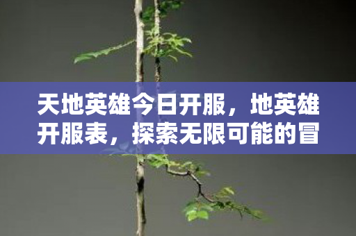 天地英雄今日开服,地英雄开服表,探索无限可能的冒险之旅 天地英雄今日开服,地英雄开服表,探索无限可能的冒险之旅