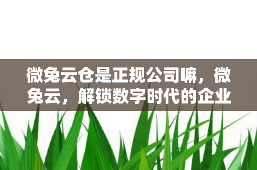 微兔云仓是正规公司嘛,微兔云,解锁数字时代的企业管理新篇章 微兔云仓是正规公司嘛,微兔云,解锁数字时代的企业管理新篇章