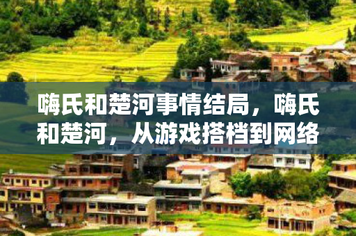 嗨氏和楚河事情结局,嗨氏和楚河,从游戏搭档到网络风云的变迁 嗨氏和楚河事情结局,嗨氏和楚河,从游戏搭档到网络风云的变迁