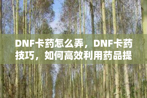 DNF卡药怎么弄，DNF卡药技巧，如何高效利用药品提升游戏体验