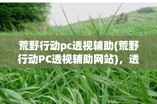 荒野行动pc透视辅助(荒野行动PC透视辅助网站)，透视辅助，荒野行动PC版中的作弊行为及其影响