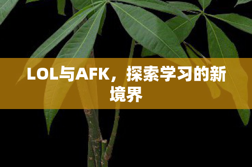 LOL与AFK，探索学习的新境界