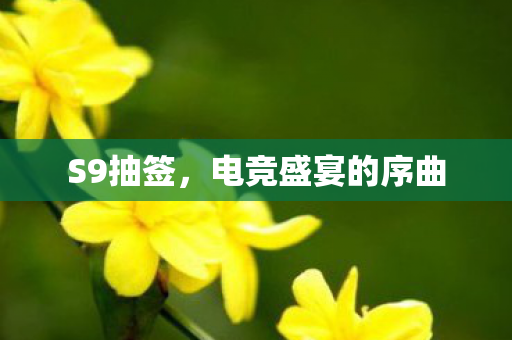 S9抽签，电竞盛宴的序曲