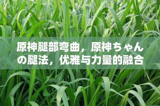 原神腿部弯曲，原神ちゃんの腿法，优雅与力量的融合