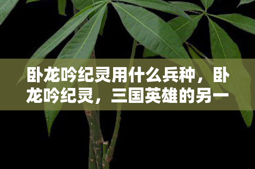 卧龙吟纪灵用什么兵种，卧龙吟纪灵，三国英雄的另一面