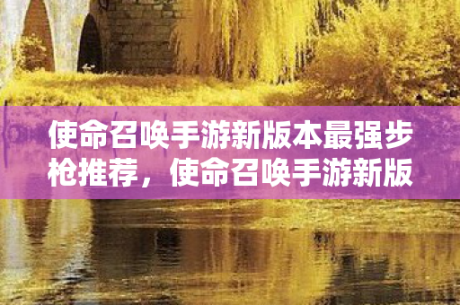 使命召唤手游新版本最强步枪推荐，使命召唤手游新版本最强步枪推荐