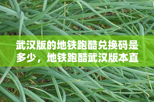 武汉版的地铁跑酷兑换码是多少，地铁跑酷武汉版本直充，解锁城市特色，畅享无限乐趣