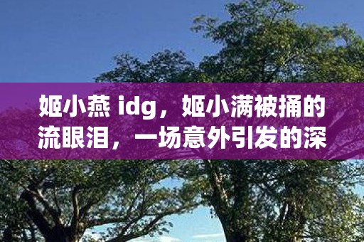 姬小燕 idg,姬小满被捅的流眼泪,一场意外引发的深思 姬小燕 idg,姬小满被捅的流眼泪,一场意外引发的深思