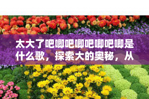 太大了吧唧吧唧吧唧吧唧是什么歌，探索大的奥秘，从自然奇观到科技奇迹