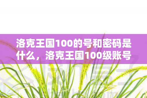 洛克王国100的号和密码是什么，洛克王国100级账号共享，解锁王国之旅的钥匙