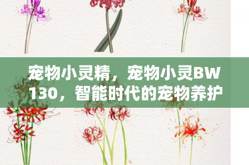 宠物小灵精,宠物小灵BW130,智能时代的宠物养护新选择 宠物小灵精,宠物小灵BW130,智能时代的宠物养护新选择