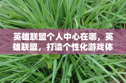 英雄联盟个人中心在哪,英雄联盟,打造个性化游戏体验,从个人中心开始 英雄联盟个人中心在哪,英雄联盟,打造个性化游戏体验,从个人中心开始