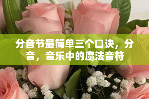 分音节最简单三个口诀,分音,音乐中的魔法音符 分音节最简单三个口诀,分音,音乐中的魔法音符
