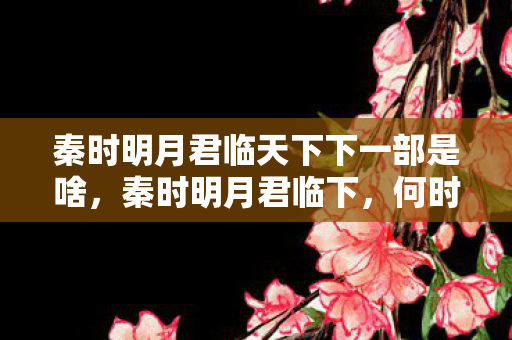 秦时明月君临天下下一部是啥,秦时明月君临下,何时再现江湖? 秦时明月君临天下下一部是啥,秦时明月君临下,何时再现江湖?