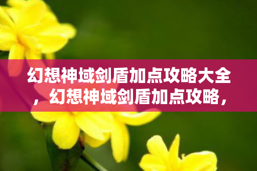 幻想神域剑盾加点攻略大全,幻想神域剑盾加点攻略,打造无敌防御与输出 幻想神域剑盾加点攻略大全,幻想神域剑盾加点攻略,打造无敌防御与输出