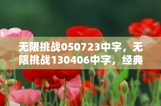 无限挑战050723中字,无限挑战130406中字,经典再现,挑战无极限 无限挑战050723中字,无限挑战130406中字,经典再现,挑战无极限