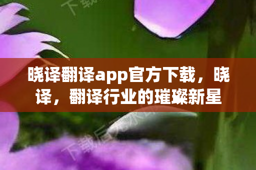 晓译翻译app官方下载，晓译，翻译行业的璀璨新星
