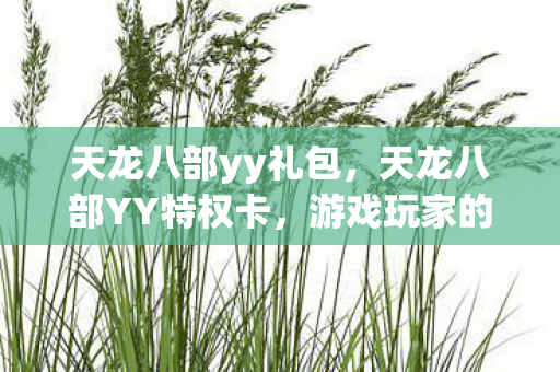 天龙八部yy礼包，天龙八部YY特权卡，游戏玩家的特权盛宴