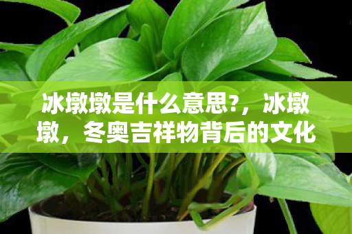 冰墩墩是什么意思?,冰墩墩,冬奥吉祥物背后的文化故事 冰墩墩是什么意思?,冰墩墩,冬奥吉祥物背后的文化故事